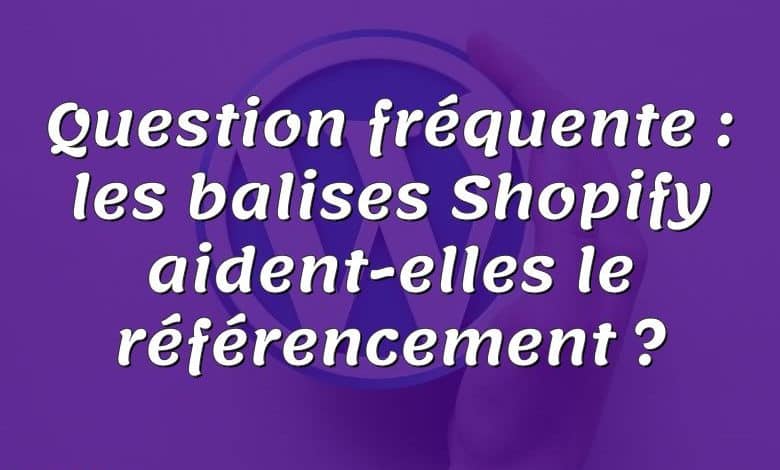 Question fréquente : les balises Shopify aident-elles le référencement ?